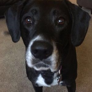 Meet your Posher, Kate